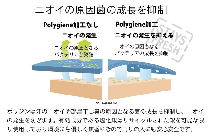 画像が小さいときは右上の灰色の四角をクリックして下さい。画面外の薄黒いところを押すと元の画面に戻ります