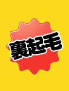 スウェット、裏起毛