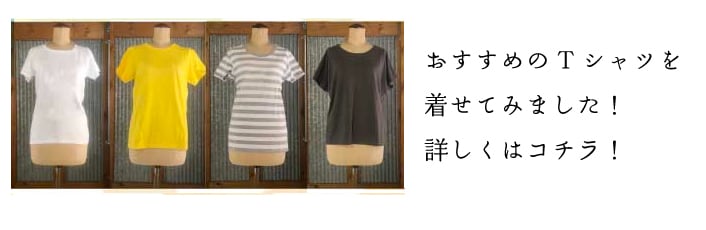”おすすめレディースTシャツ着用時のイメージ”/
